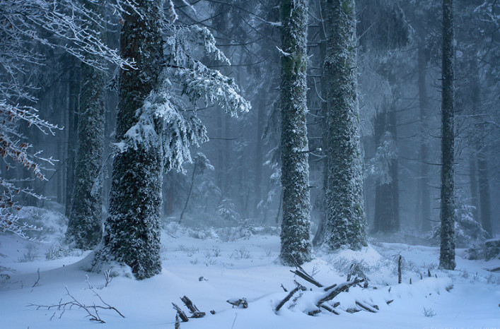 Фото: Florent Courty