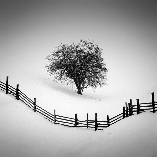 Фото: Martin Rak