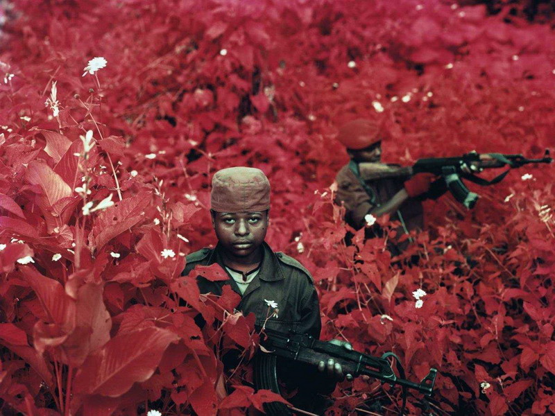 Ричард Мосс / Richard Mosse. Из проекта «Анклав»