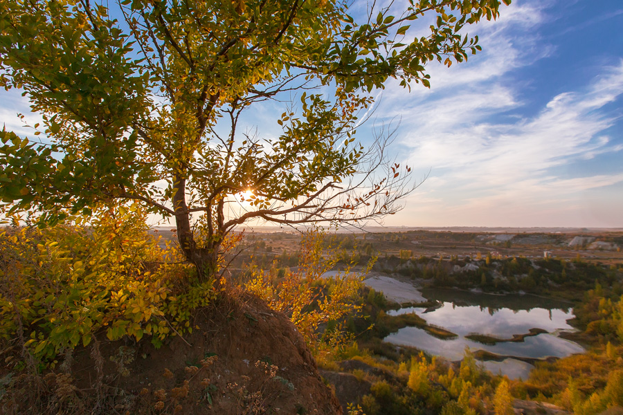 Золотая осень. Фото:  Ольга Кардашева