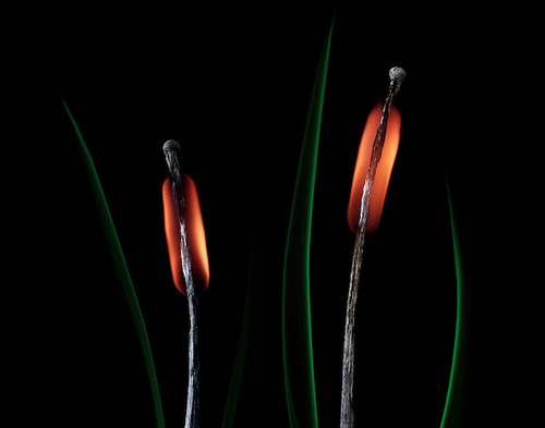 фотопроект, Станислав Аристов, фотограф, фото спичек, спички фото, фото горящей спички