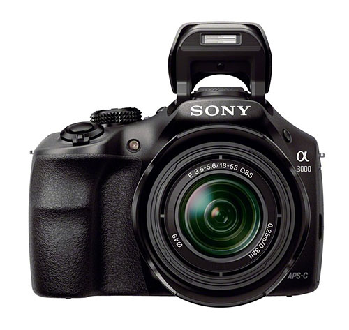 Sony α3000