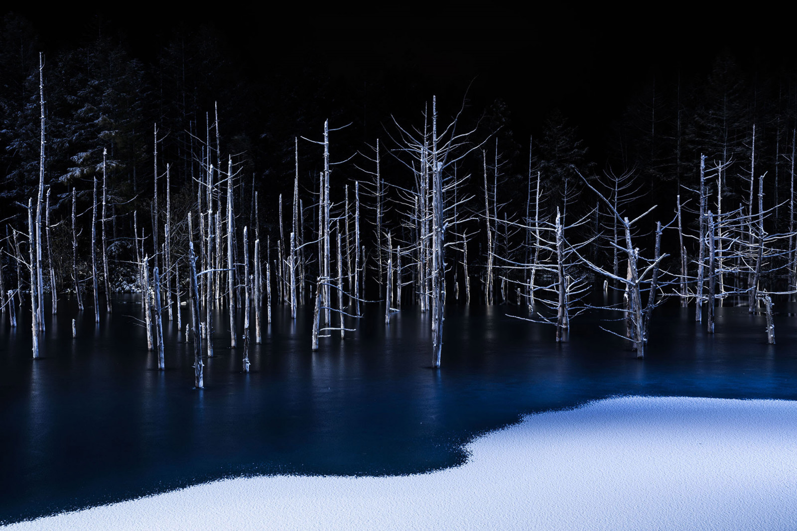 © Hiroshi Tanita, Japan, Winner, Open Competition, Nature, 2017 Sony World Photography Awards