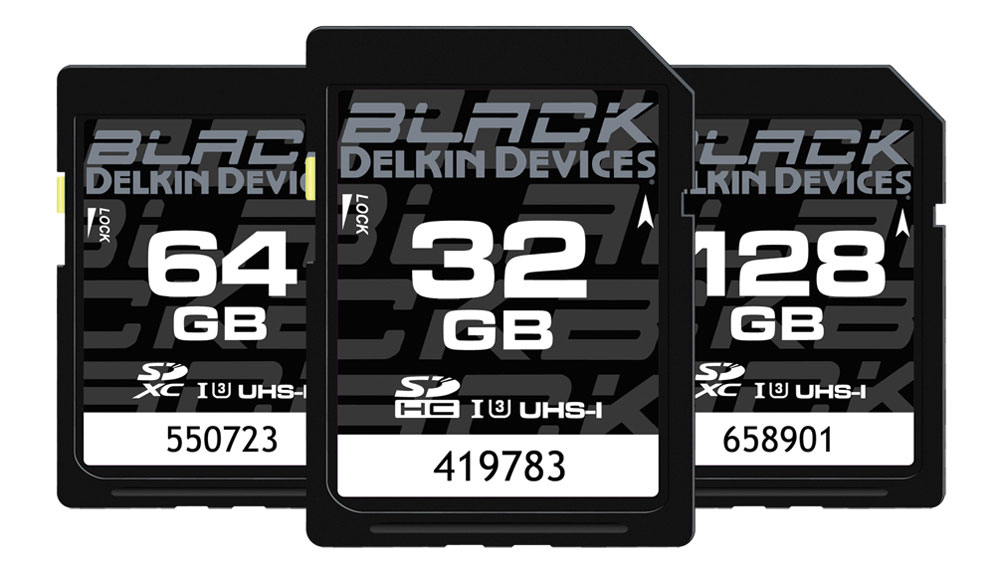 Карта памяти delkin devices