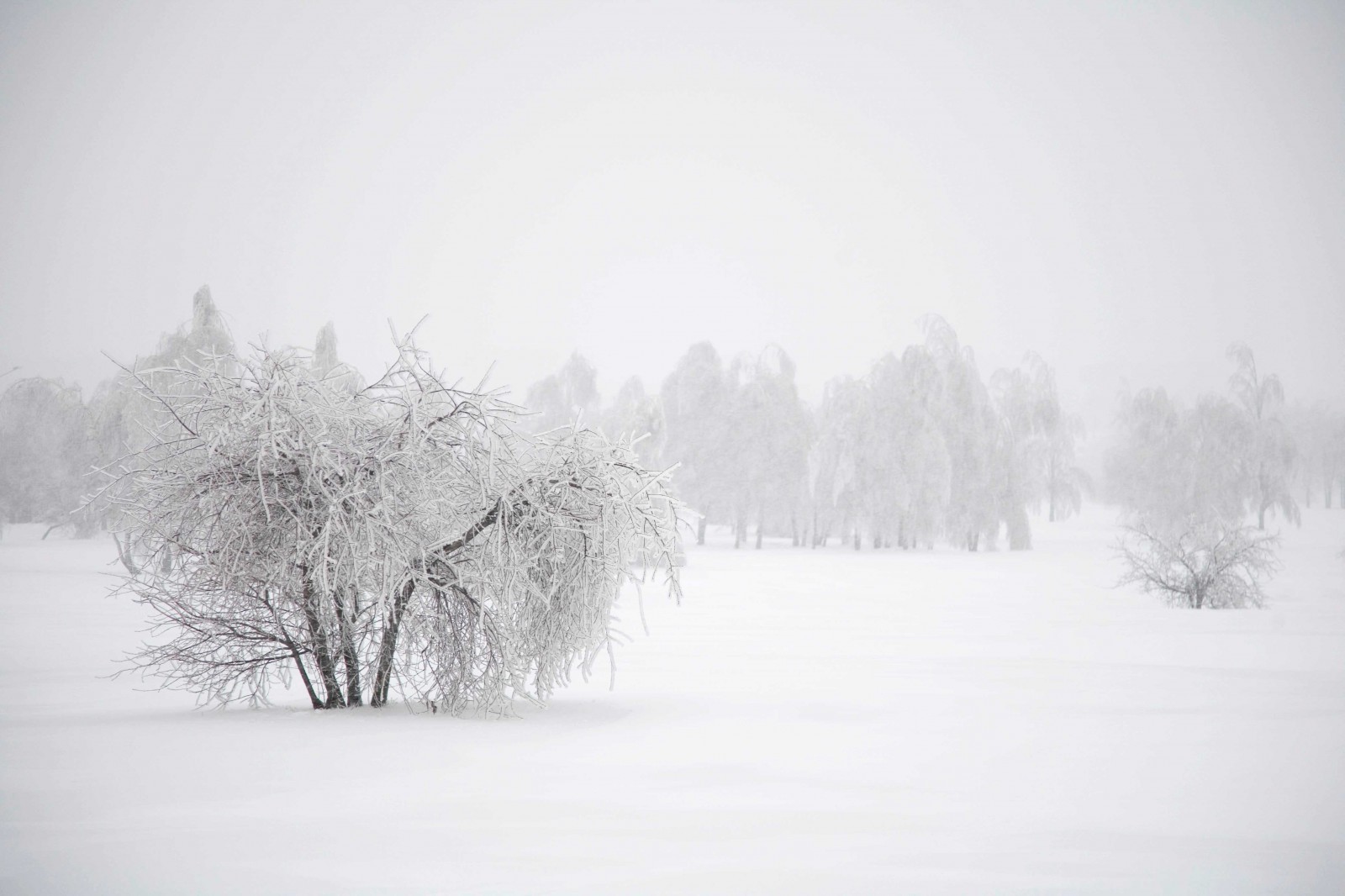 Елена Подольская — а снег идет — Российское фото