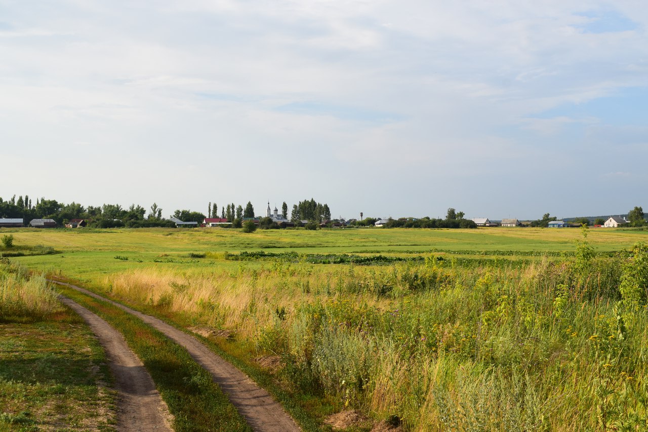 Деревенские просторы 235г село реткино фото. Деревенские просторы Рязань. Реткино ресторан Деревенские просторы. Село Редькино Деревенские просторы. Село Редькино загородный клуб Деревенские просторы.