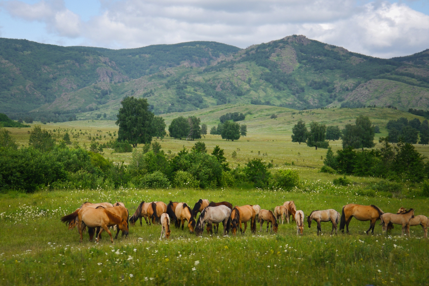 Уральский Край Фото